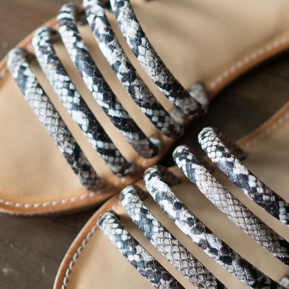 Soda Python Slides - Picture 3 of 5